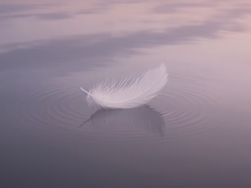 Why do we forgive our debtors?